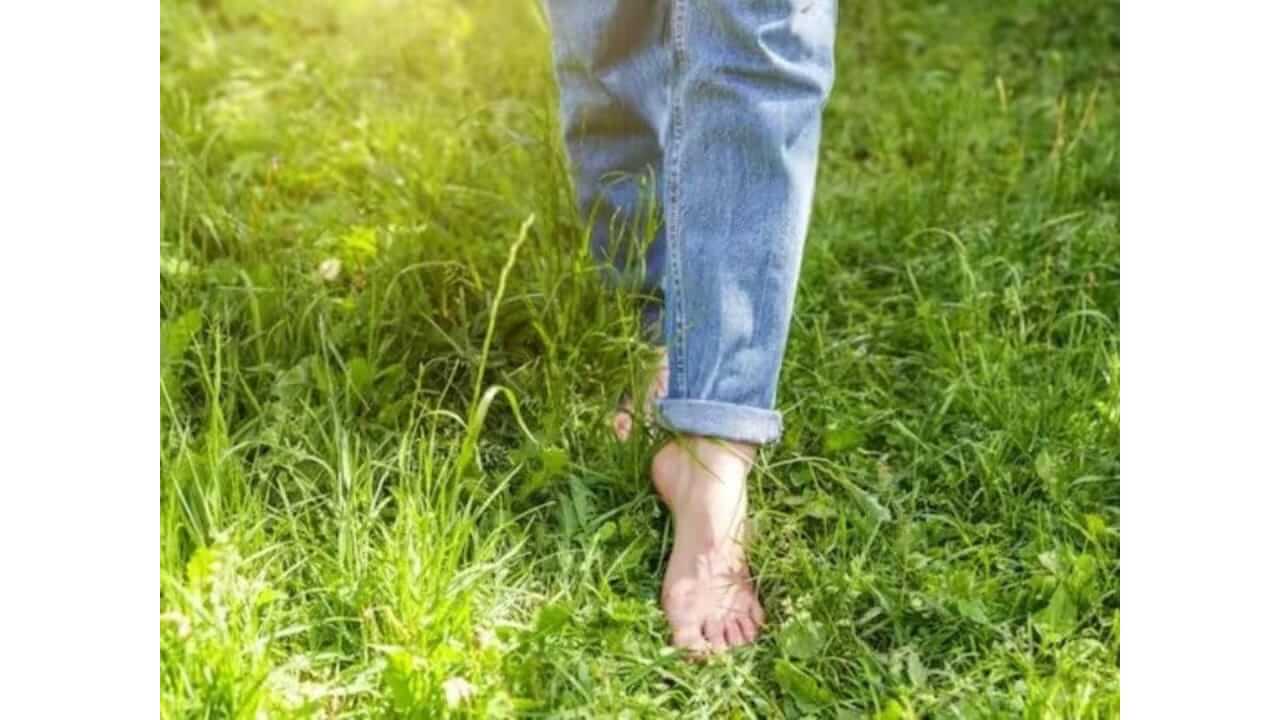 सकाळी अनवाणी पायांनी गवतावर चालणे आरोग्यासाठी लाभदायी, वाचा याचे फायदे…