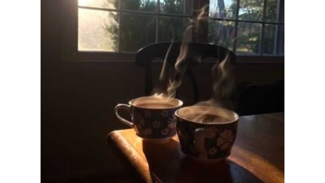 तुम्हालाही रोज सकाळी चहा लागतोच? मग चहा पिताना 'या' गोष्टी लक्षात ठेवा