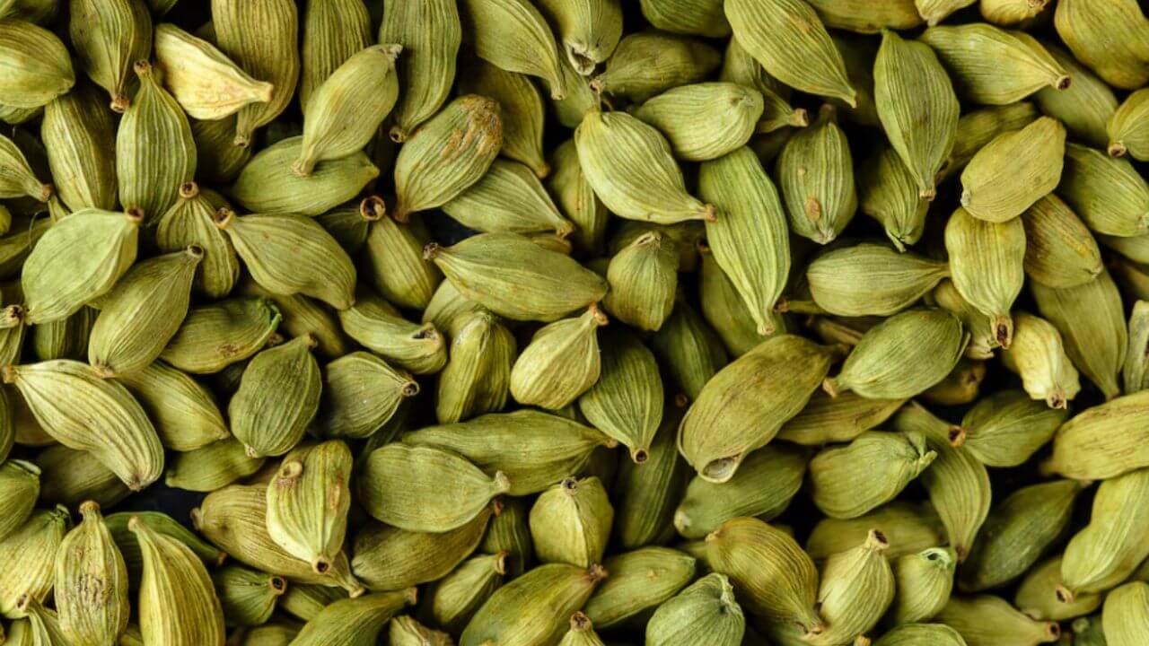 महागड्या वेलची विकत आणण्यापेक्षा घरातच लावा रोप, कसं लावायचं जाणून घ्या