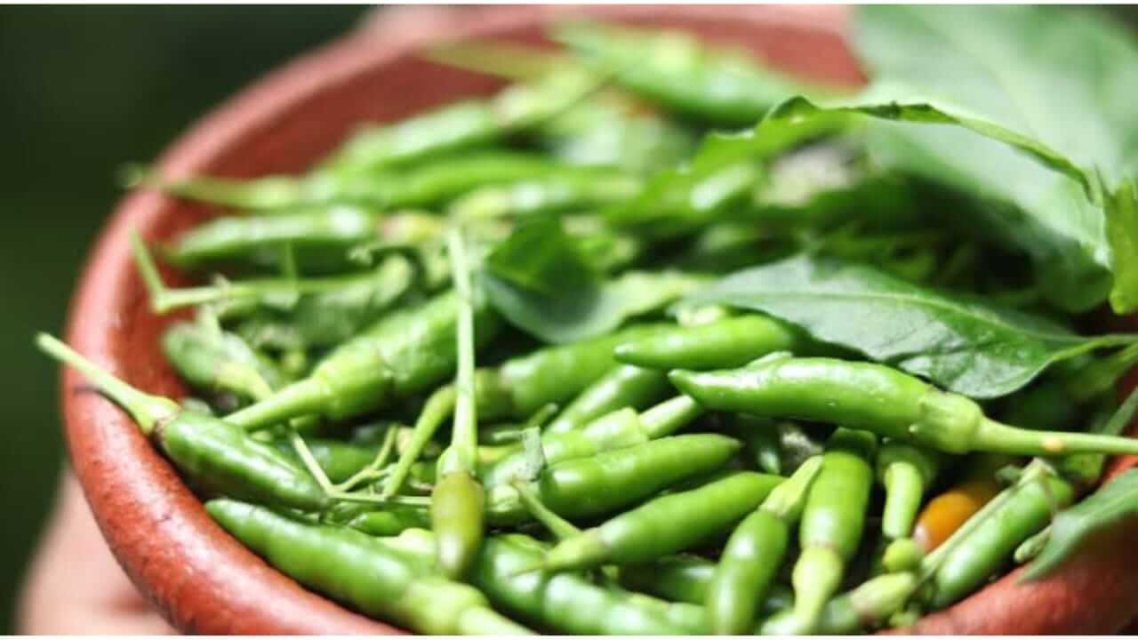 'या' लोकांनी हिरवी मिरची खाऊ नये, त्यामुळे अनेक समस्यांचा धोका वाढू शकतो