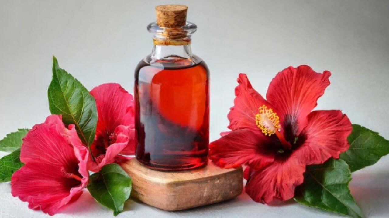 केस गळणे थांबवून मजबूत बनवते जास्वंदाचे तेल, जाणून घ्या घरी बनवण्याची पद्धत