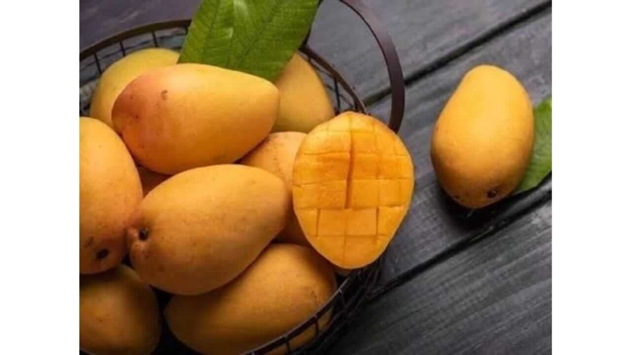 आंब्यासोबत 'हे' पदार्थ चुकूनही खाऊ नका, आरोग्यास ठरतील हानीकारक
