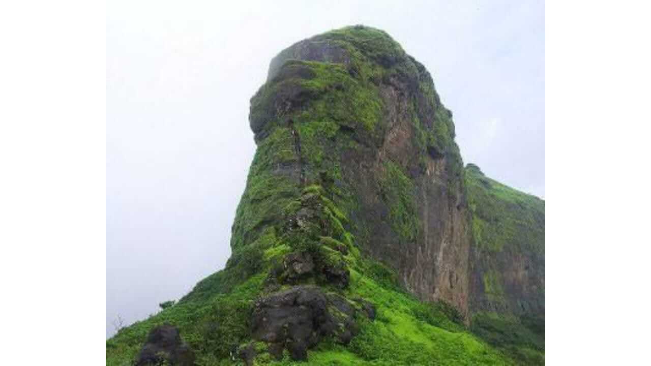 पावसाळी ट्रेकिंगसाठी कुठे जायचं? या विचारात असाल तर या गड-किल्ल्यांना नक्की भेट द्या