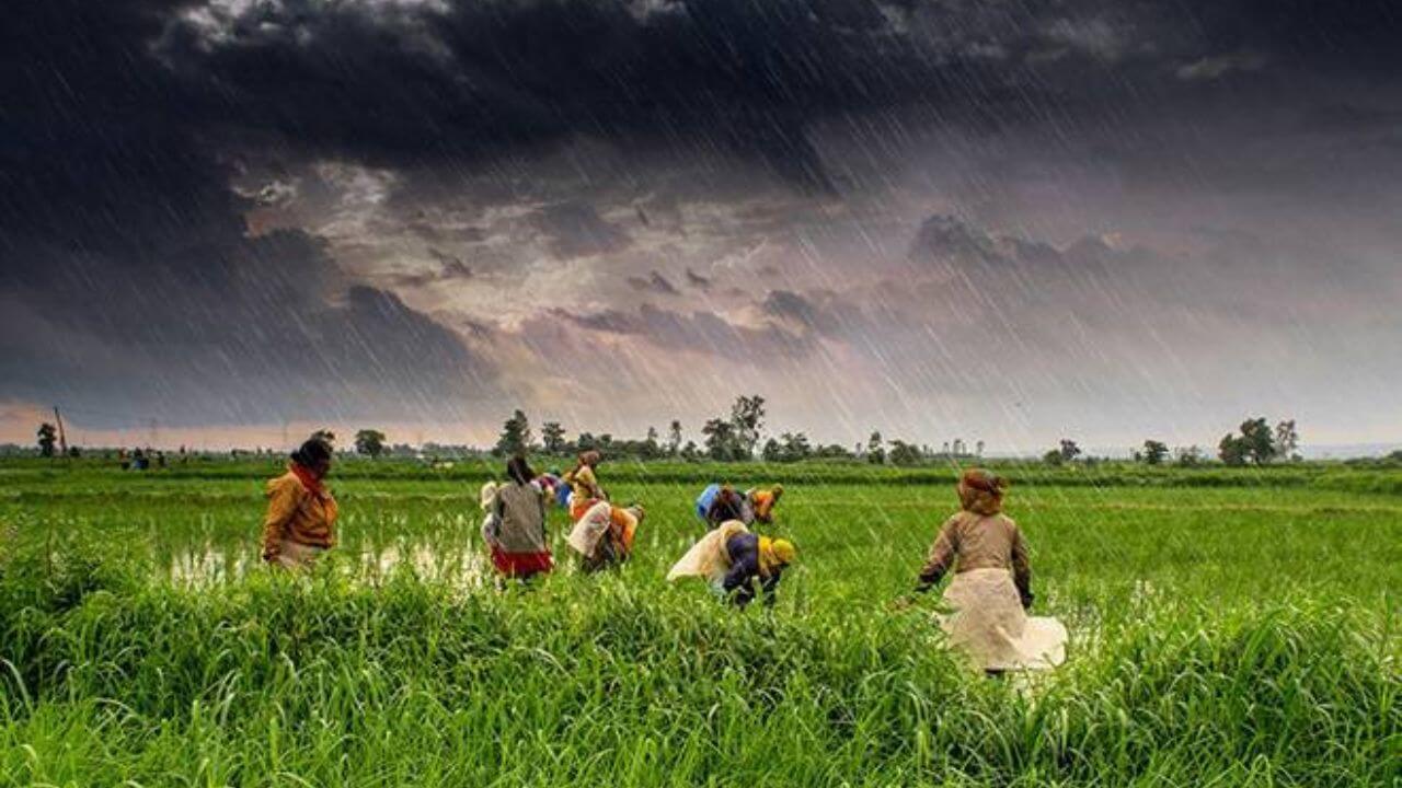 खुशखबर! मान्सून केरळात दाखल; महाराष्ट्रात कधी होणार मान्सूनचं आगमन?