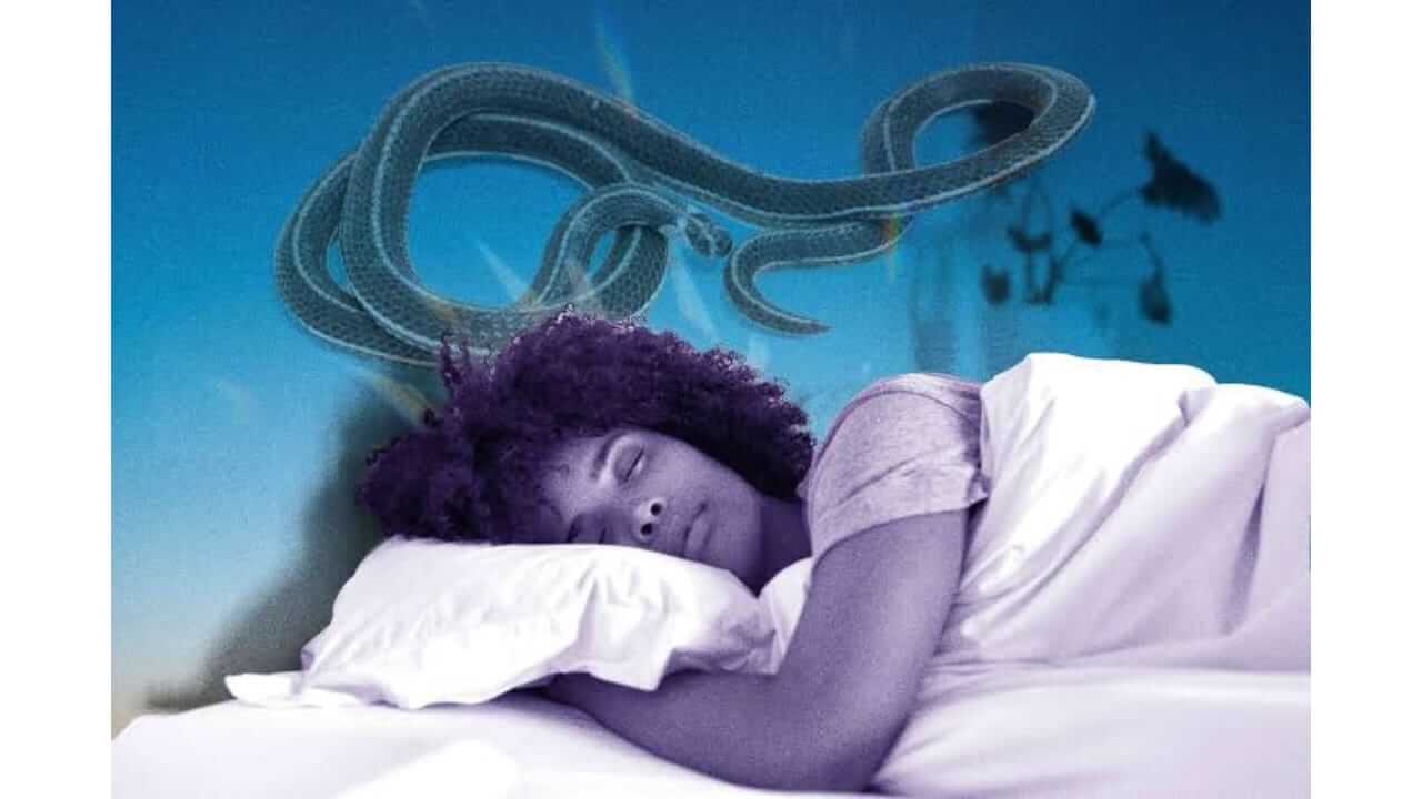 स्वप्नात वारंवार साप दिसणे शुभ संकेत आहे की अशुभ? जाणून घ्या....