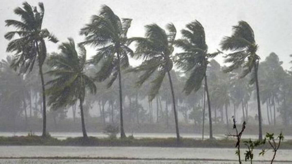 rain