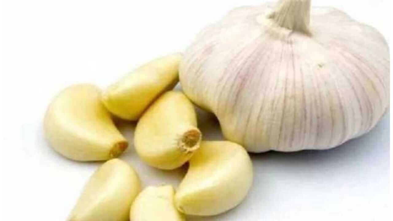 रिकाम्या पोटी लसूण खाण्याचे आश्चर्यकारक फायदे, अनेक आजारांपासून मिळेल आराम