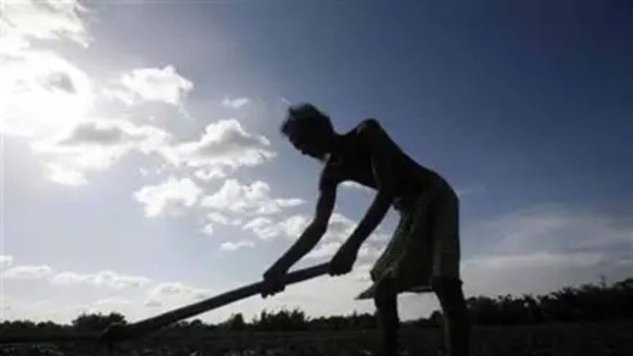 farmer