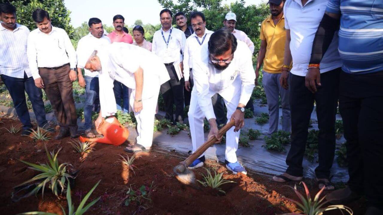 नाना पाटेकर पोहोचले उपमुख्यमंत्री शिंदेंच्या शेतात, स्ट्रॉबेरी, चिकू, आंब्याचा घेतला अस्वाद