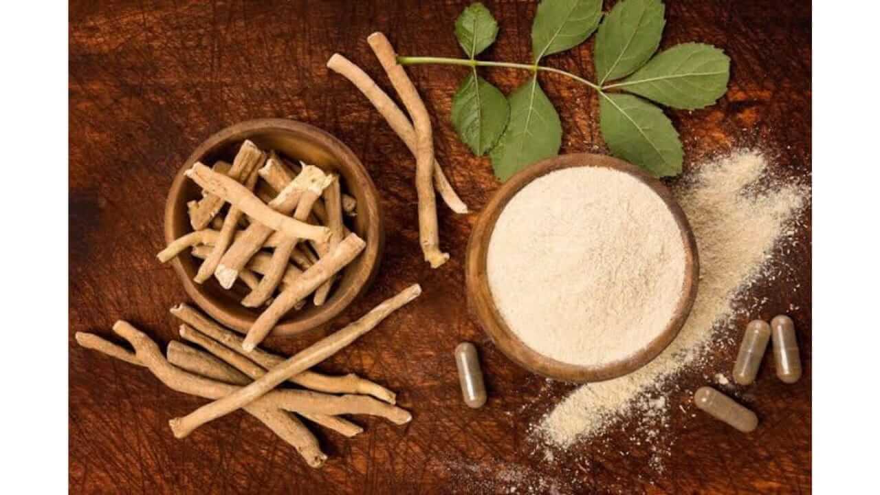 ताण-तणावावर प्रभावी उपाय; अश्वगंधा अतिशय गुणकारी, जाणून घ्या फायदे...
