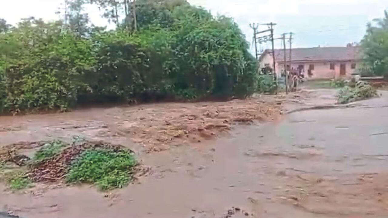 kokan rain