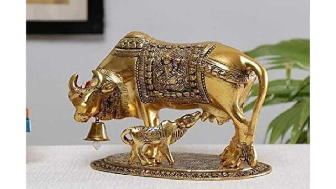घरामध्ये 'या' ठिकाणी ठेवा कामधेनू गाईची मूर्ती, चमकेल तुमचे नशीब