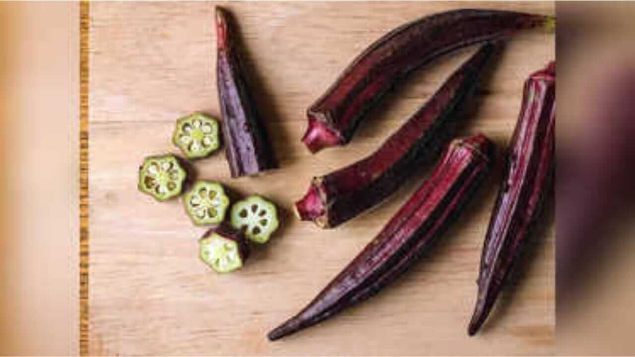 लाल भेंडी आरोग्याचा खजिना जाणून घ्या फायदे