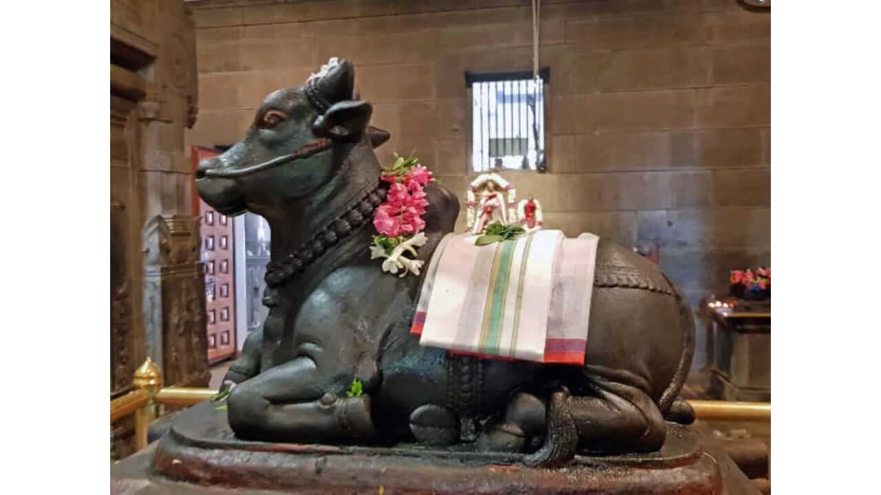 नंदीच्या कानात कुजबुजण्यापूर्वी 'हे' नियम जाणून घ्या, प्रत्येक इच्छा लवकरच पूर्ण होईल!
