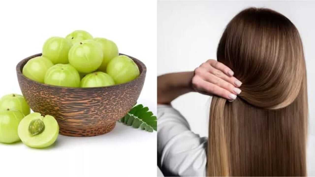 आवळा केसांसाठी वरदान 'या' प्रकारे वापरा, फायदेशीर ठरेल
