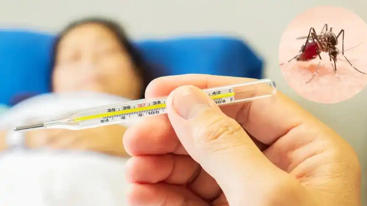 मुंबईत संसर्गजन्य आजारांचे रूग्ण वाढले; पावसाळ्याच काळजी घेण्याचे आवाहन