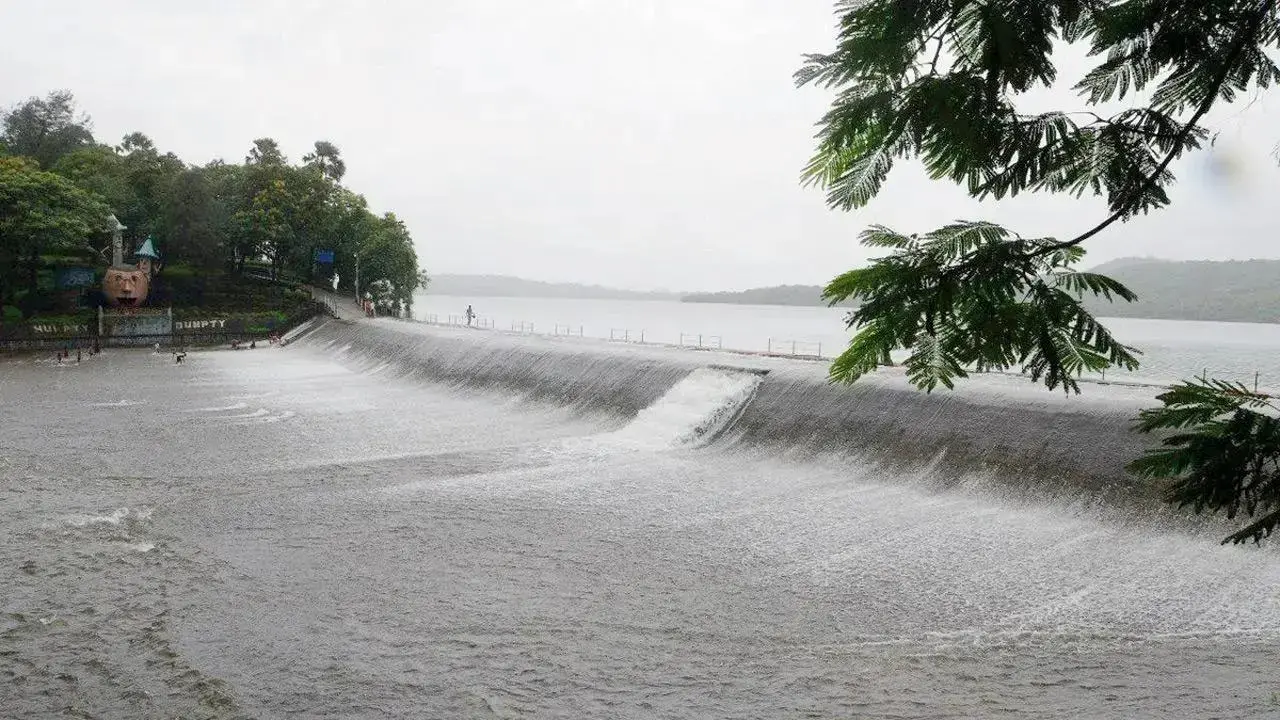 मुंबईकरांनो पाणी जपून वापरा!, जलसाठ्यात केवळ ९ टक्के पाणीसाठा, पाणी जपून वापरण्याचे पालिकेचं आवाहन