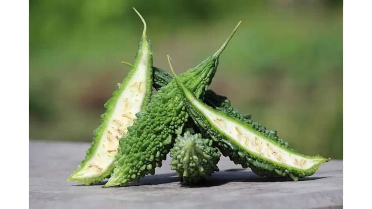 कारलं केसांसाठी वरदान जाणून घ्या फायदे...