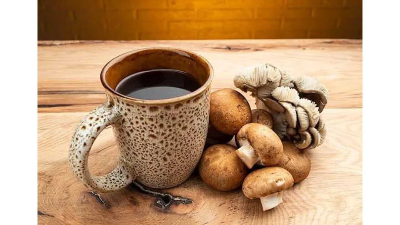 आता तुमची सकाळ 'मशरूम कॉफी' ने सुरू करा, जाणून घ्या फायदे..