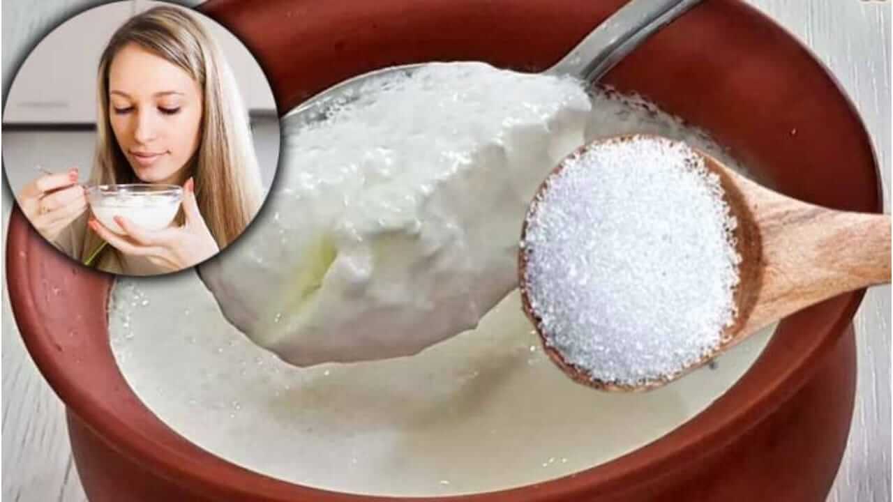 कोणत्याही शुभ कार्यापूर्वी दही साखर का खाल्ली जाते? जाणून घ्या