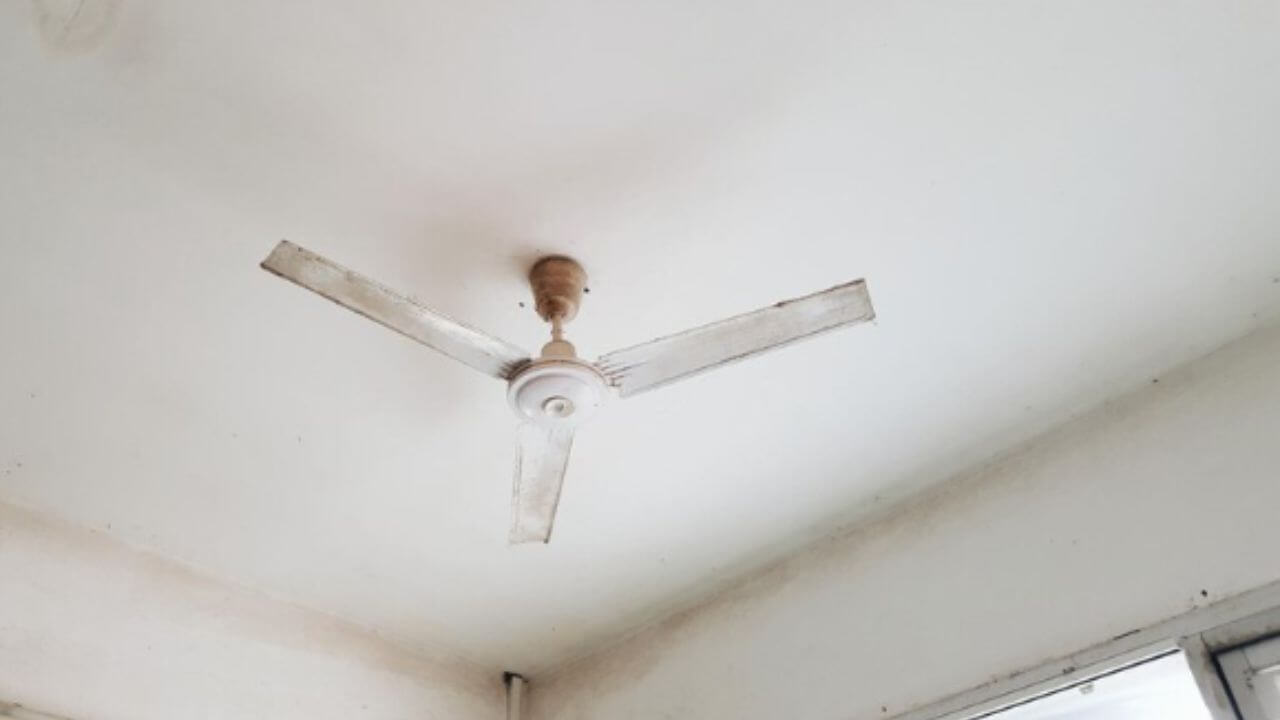 शिडी किंवा स्टूलशिवाय स्वच्छ करा सिलिंग फॅन, बेस्ट आहे घरगुती उपाय