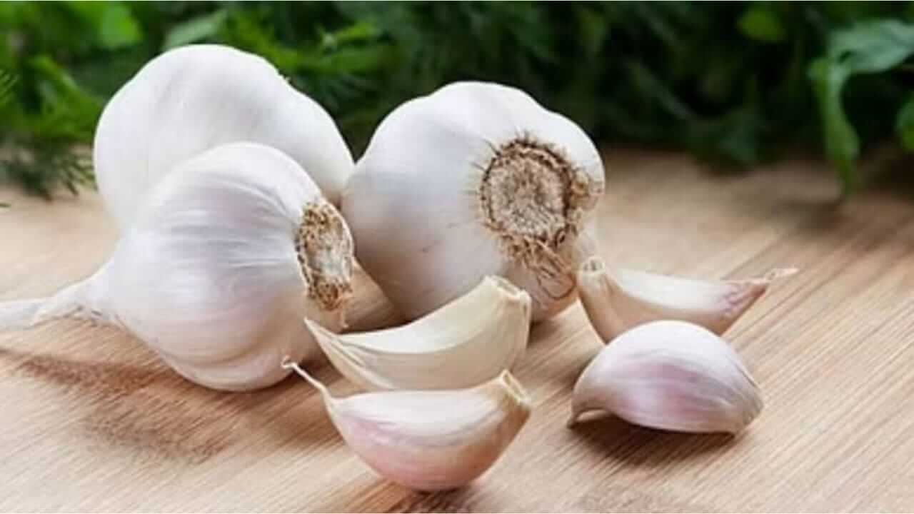 लसूण आरोग्यासाठी गुणकारी ‘या’ लोकांनी करावे नियमित सेवन
