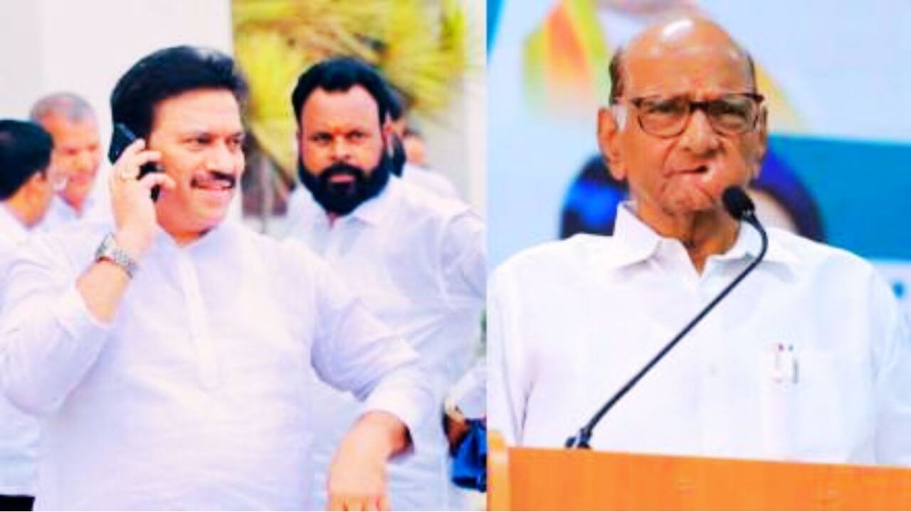 Shashikant Shinde new state president ncp